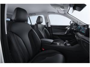 MG HS PHEV Luxury *GEWERBEKUNDEN AKTION*