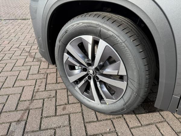 Skoda Kodiaq Selection 2,0 TDI 110 kW 7-Gang-DSG**Gewerbeleasingaktion**