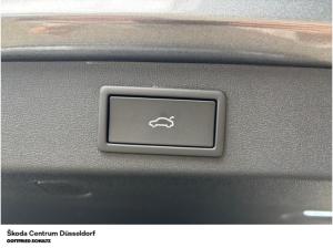 Skoda Kodiaq Selection 2.0 TDI (Düsseldorf)