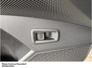 Skoda Kodiaq Selection 2.0 TDI (Düsseldorf)