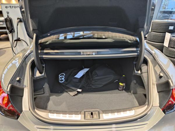 Audi RS e-tron GT 170UPE Sofort!