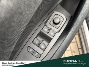 Skoda Kodiaq Selection 2.0 TDI 142 kW 4x4 Standheizung AHK Fahrassistenz-Paket: Plus