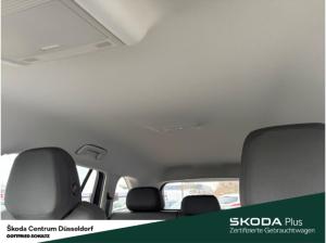 Skoda Kodiaq Selection 2.0 TDI 142 kW 4x4 Standheizung AHK Fahrassistenz-Paket: Plus