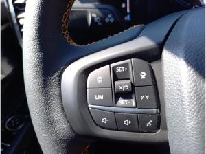 Ford Ranger Doppelkabine Wildtrak ⛰️ 2,0 l EcoBlue Autm. 151 kW (205 PS)🛻Agate Black