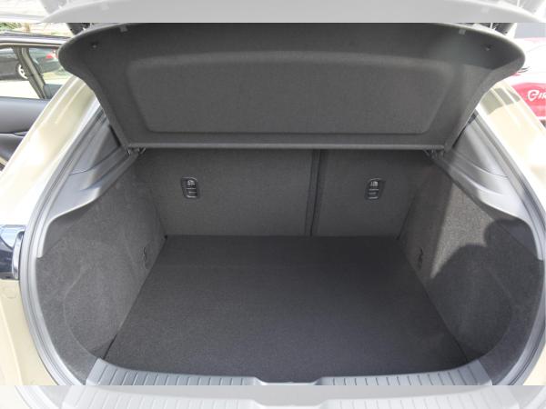 Mazda CX-30 eSKYACTIV-G 2.5 140ps Autom. TAKUMI Leder-Schwarz