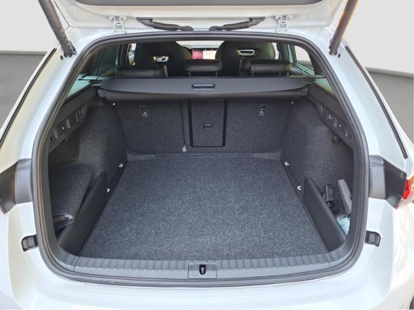 Skoda Octavia Combi Sportline 2.0 TDI DSG AHK Winter