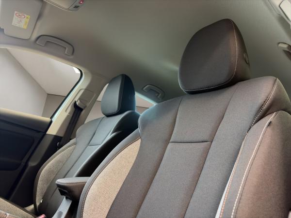 Skoda Scala DSG Balance SOFORT VERFÜGBAR! ACC AHK Virtual Matrix PDC