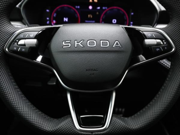 Skoda Fabia 130 1.5 TSI DSG Sonderedition Kamera Winter