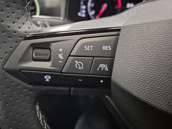 Seat Ibiza Road Edition 1.0 TSI Navi PDC Kessy SHZ