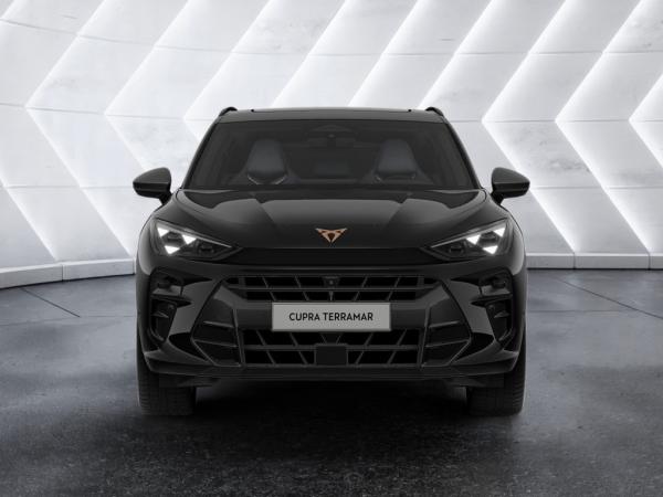 Cupra Terramar Terramar 2.0 TSI DSG 4Drive PANO MATRIX-LED 360° *202*