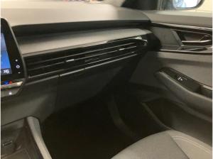 Renault Austral Evolution *PDC*KLIMA*SHz.*