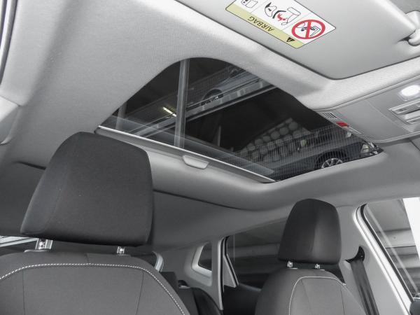 Seat Ibiza Road Edition 1.0 TSI 85 kW Tageszulassung