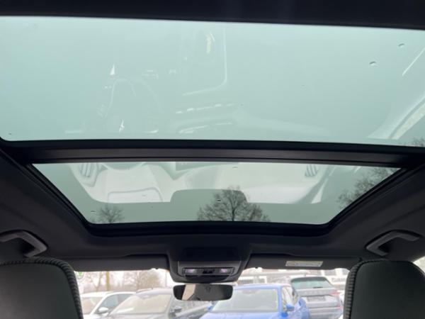 Cupra Terramar VZ Tribe Hybrid 200kW (272PS)*DSG*AHK*PANO*Travel-Ass.*HD-Matrix*Head-Up*360°*Sennheiser*Gewerbekund