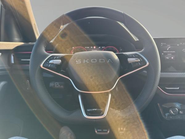 Skoda Kamiq Monte Carlo, AHK, 7-Gang-DSG, Winter Plus