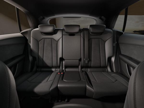 Audi Q8 TFSI e 360 kW quatt tip S line business