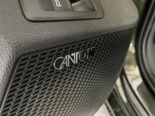 Skoda Octavia Combi RS 2.0 TSI DSG AHK CANTON