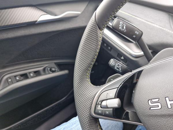 Skoda Elroq RS SONDEREDITION Matrix Navi AHK 4xSitzhzg PLA Klimaauto