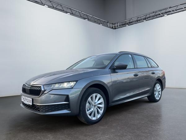 Skoda Octavia Combi Selection 1.5 TSI ACT Einparkhilfe