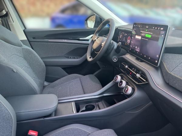 Skoda Kodiaq 2.0 TDI DSG Selection *AHK*KOMFORT*LICHT&SICHT*