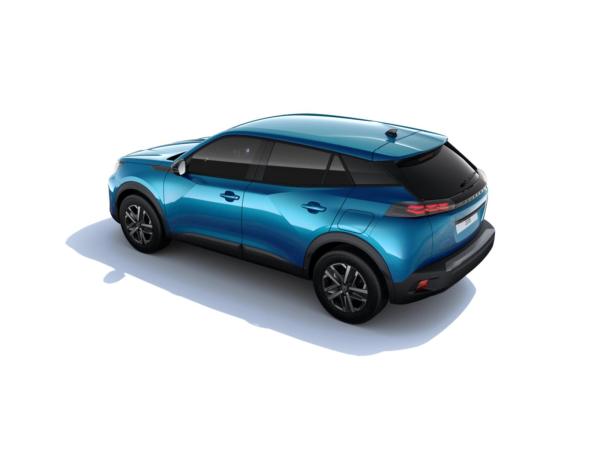 Peugeot 2008 BUSINESS Benzin 100