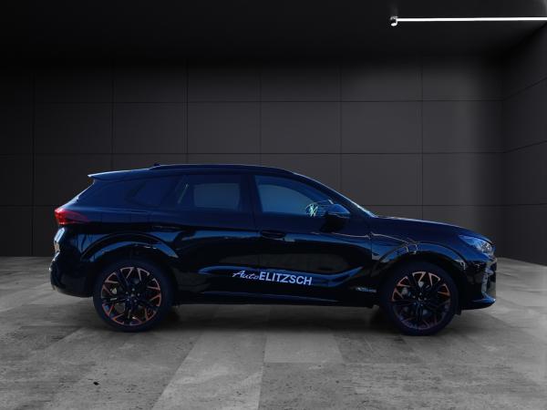 Cupra Terramar +++sofort verfügbar+++ 4Drive VZ TSI DSG