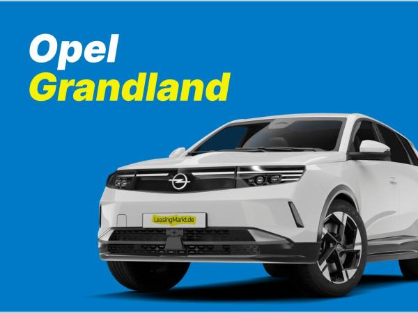 Opel Grandland Electric Edition ❗️Gewerbeangebot inkl. Allwetter❗️