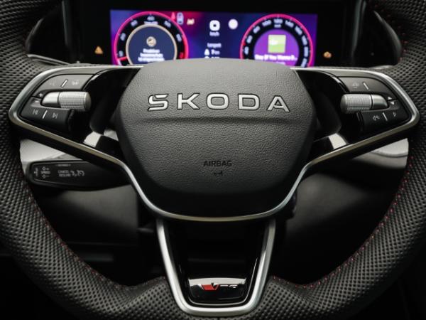 Skoda Kodiaq 2.0 TSI RS 4x4 DSG AHK Pano Navi Winter Matrix