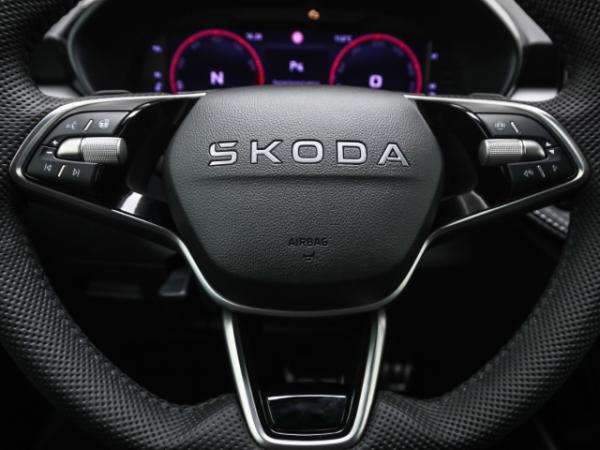 Skoda Fabia 130 1.5 TSI DSG Sonderedition Kamera Winter