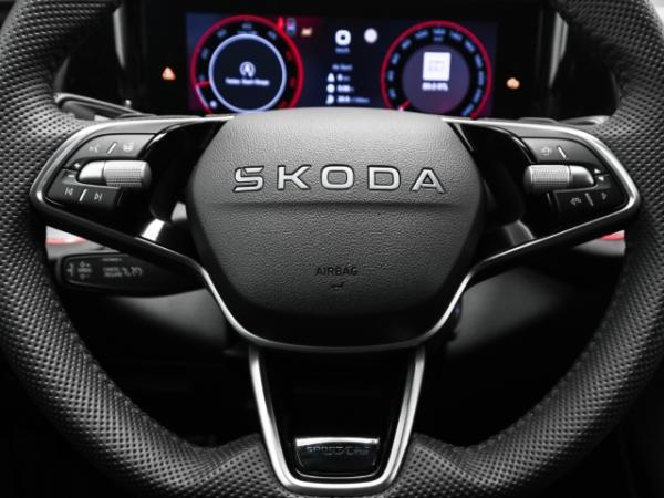 Skoda Kodiaq 2.0 TDI DSG 4x4 Sportline AHK Navi Kamera Winter