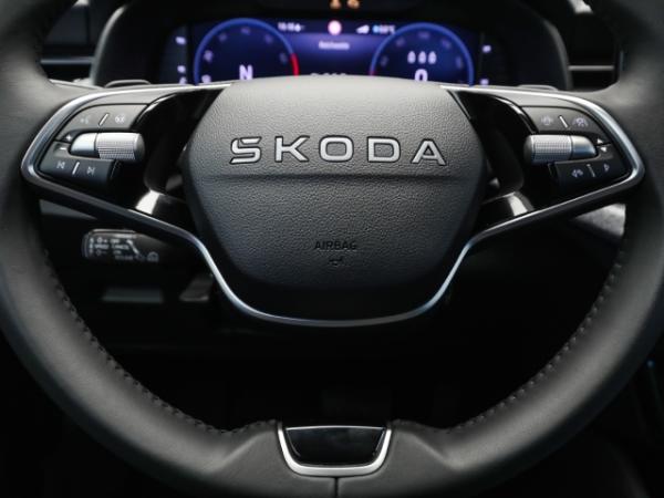 Skoda Scala Balance 1.5 TSI DSG AHK Navi Anschlussgarantie
