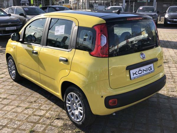 Fiat Panda /Pandina Bicolore | Mit Einparkhilfe und Klimaanlage | Sofort verfügbar ❗️