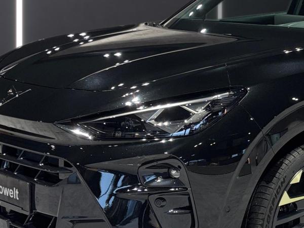 Cupra Terramar Tribe Edition VZ 1.5 e-Hybrid MATRIX PANO AHK 360Grad Head-Up