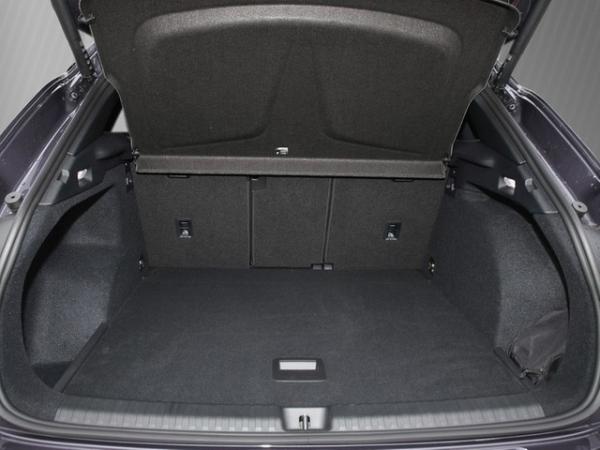 Cupra Terramar 2.0TSI DSG VZ 4Drive ABT Paket AHK/Navi * Nur Gültig für Cupra Fahrer *