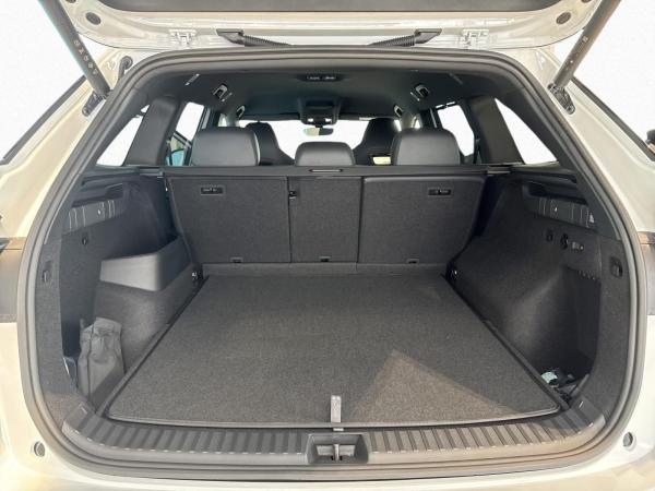 Skoda Kodiaq 2.0 TSI 4x4 RS