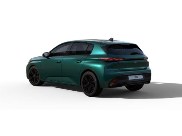 Peugeot 308 STYLE HYBRID 145 DSC6