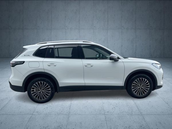 Volkswagen Tiguan Goal /AHK /IQ-LIGHT