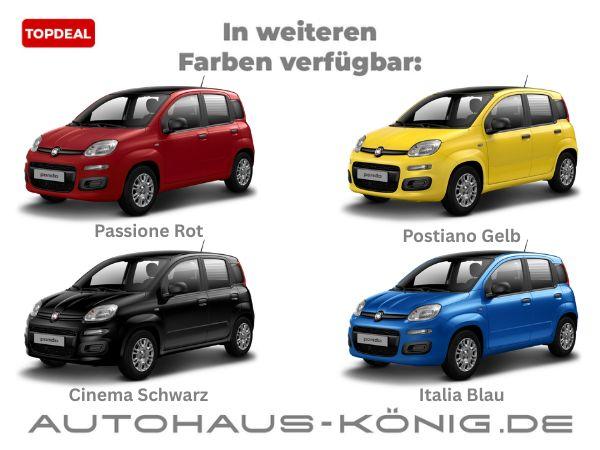 Fiat Panda /Pandina Bicolore | Bereitstellungskosten geschenkt 🎁 | Mit Einparkhilfe und Klimaanlage❗️