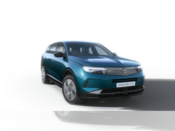 Opel Grandland Electric | Gewerbekracher