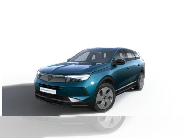 Opel Grandland Electric | Gewerbekracher