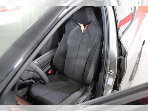 Cupra Tavascan Endurance | SONDERAKTION | -14450