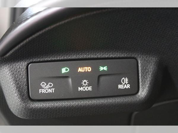 Cupra Tavascan Endurance | SONDERAKTION | -14450