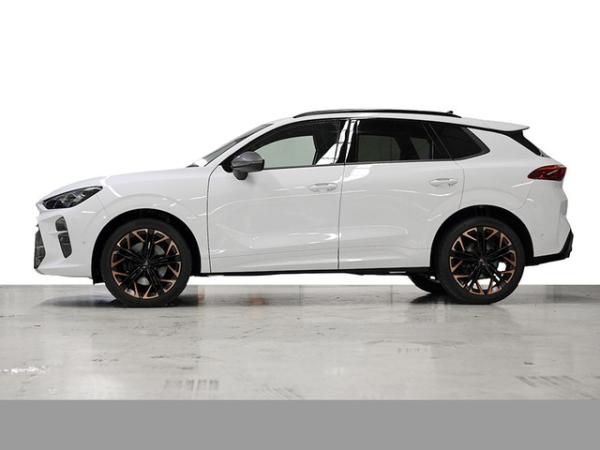 Cupra Terramar VZ 2.0 TSI 4Drive (Velbert)